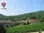 barbecu du 15 07 2006